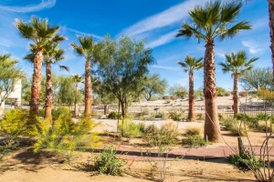 Commercial-Landscape-10-1024×682-1_result