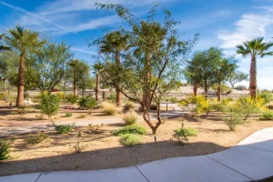 Commercial-Landscape-11-1024×682-1_result