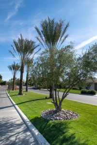 Commercial-Landscape-17-682×1024-1_result