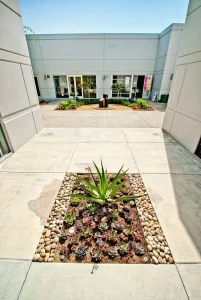 Commercial-Landscape-22_result