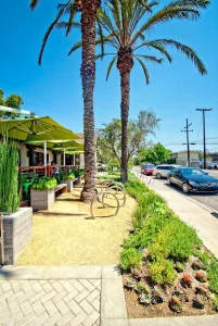 Commercial-Landscape-26_result