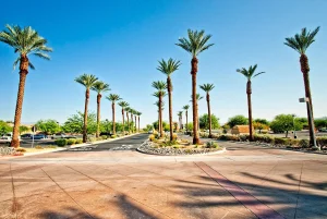 Commercial-Landscape-28_result