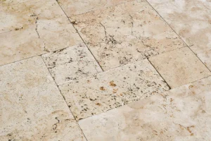 DSC1609-scaled-1408×938-1_result