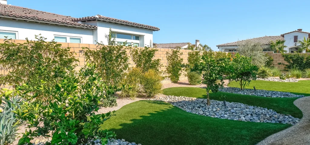 Teserra remodeled backyard