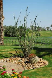 Landscape-104-scaled-859×1280-1_result