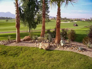 Landscape-105_result