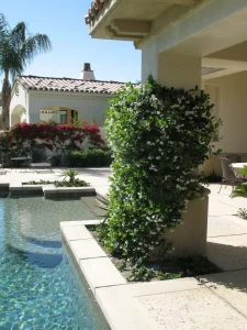 Landscape-113_result