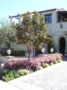 Landscape-40-scaled-960×1280-1_result