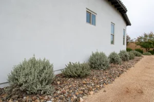 Landscape-66-1024×682-1_result