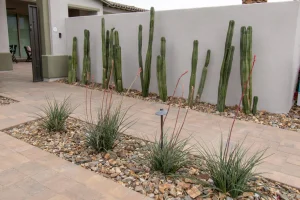 Landscape-67-1024×682-1_result