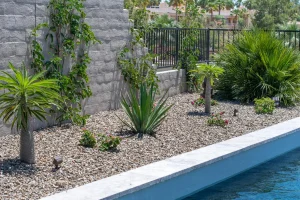 Landscape-77-1024×682-1_result