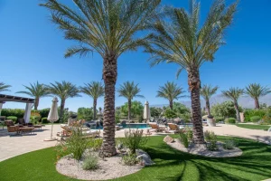 Landscape-79-1024×682-1_result