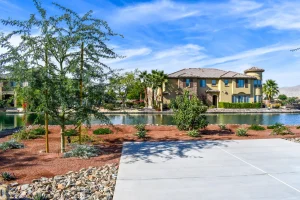 Landscape-Plants-178-1024×682-1_result