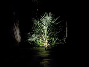 Outdoor-Lighting-5_result