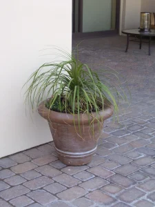 Pottery-1-2-scaled-1152×1536-1_result