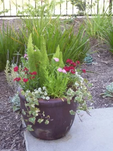 Pottery-10-1-scaled-1152×1536-1_result