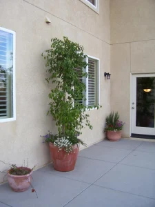 Pottery-13-1-scaled-1152×1536-1_result