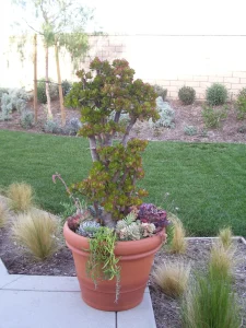 Pottery-15-1-scaled-1152×1536-1_result