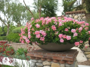 Pottery-18-1-1228×921-1_result