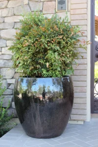 Pottery-19-1-scaled-1024×1536-1_result