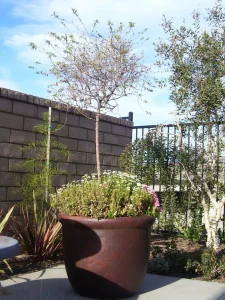 Pottery-9-1-scaled-1152×1536-1_result