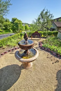 Water-Feature-70-scaled-1028×1536-1_result