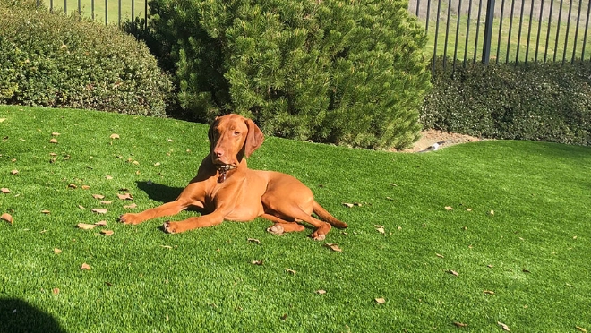 Backyard pool installation from Teserra OUtdoors